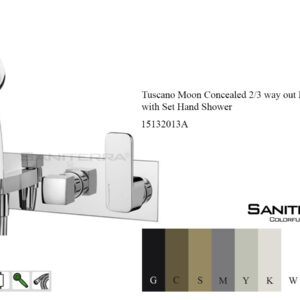 15132013A-concealed Bath Mixer taps 2-3 way out Moon